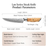 Blaze Series 5 Inch  Damascus Steel Steak Knife